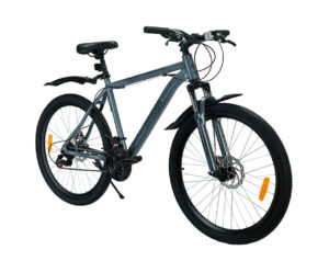 Cosmic Eldorado 1.0l 21 Speed Gear Bicycle